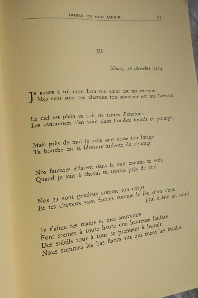 Schatten meiner Liebe - Apollinaire & Picasso