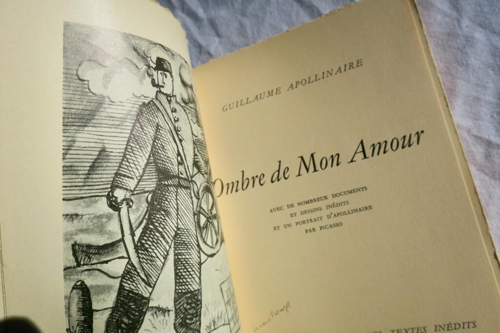 Schatten meiner Liebe - Apollinaire & Picasso