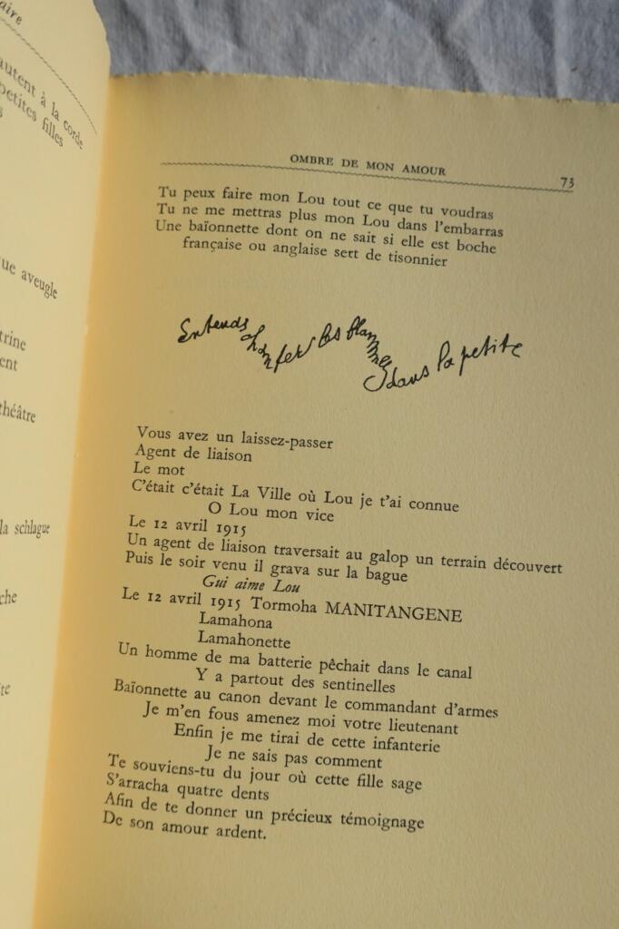 Schatten meiner Liebe - Apollinaire & Picasso