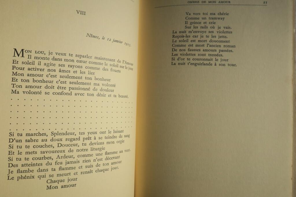 Schatten meiner Liebe - Apollinaire & Picasso