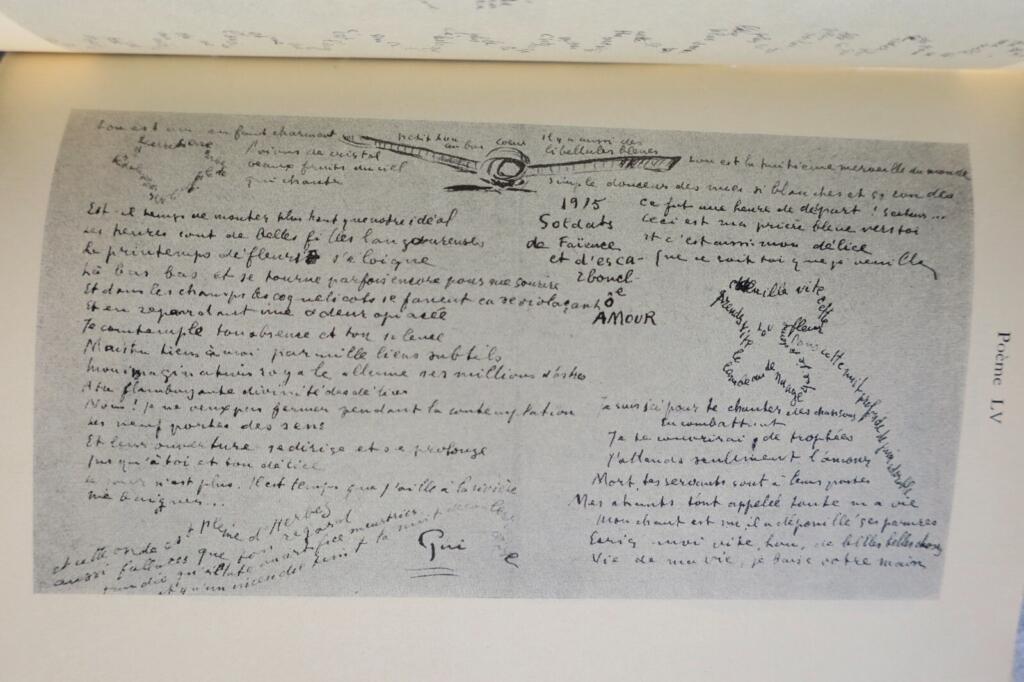 Schatten meiner Liebe - Apollinaire & Picasso