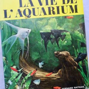Erkundung des Lebens im Aquarium
