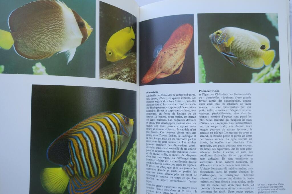 Guide to Aquarium Life
