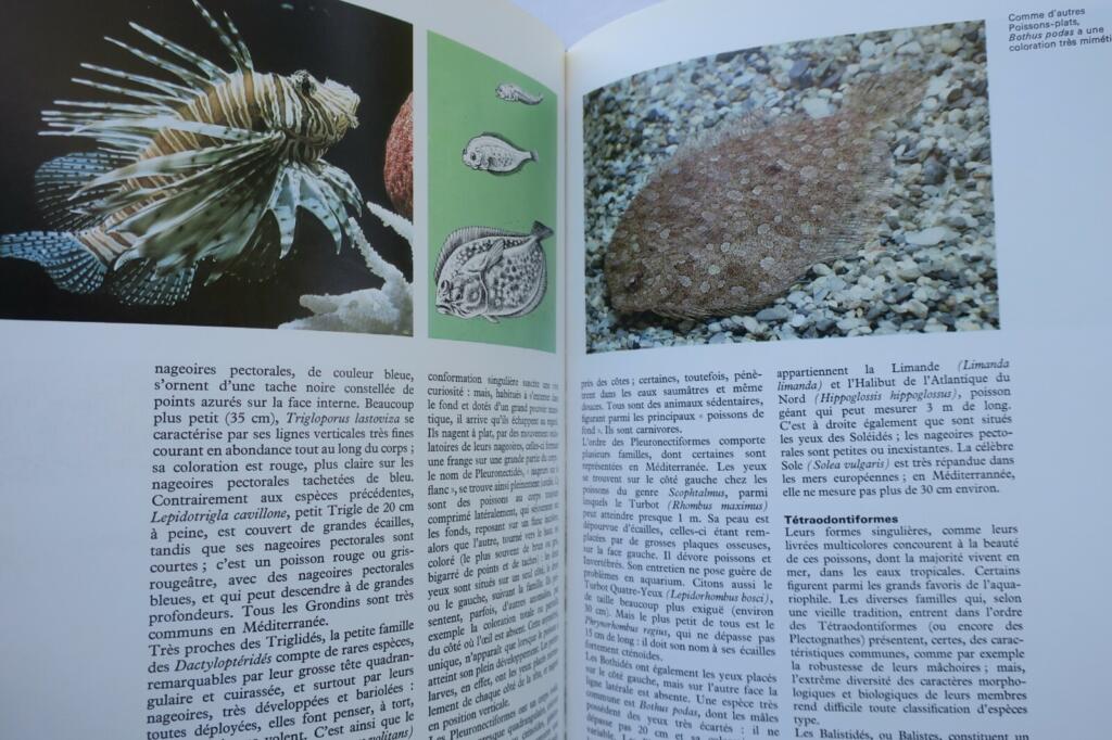 Guide to Aquarium Life