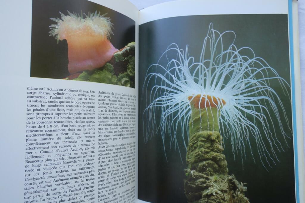 Guide to Aquarium Life