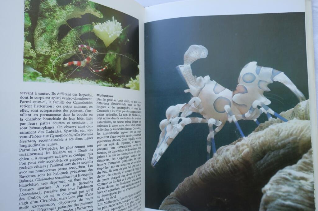 Guide to Aquarium Life
