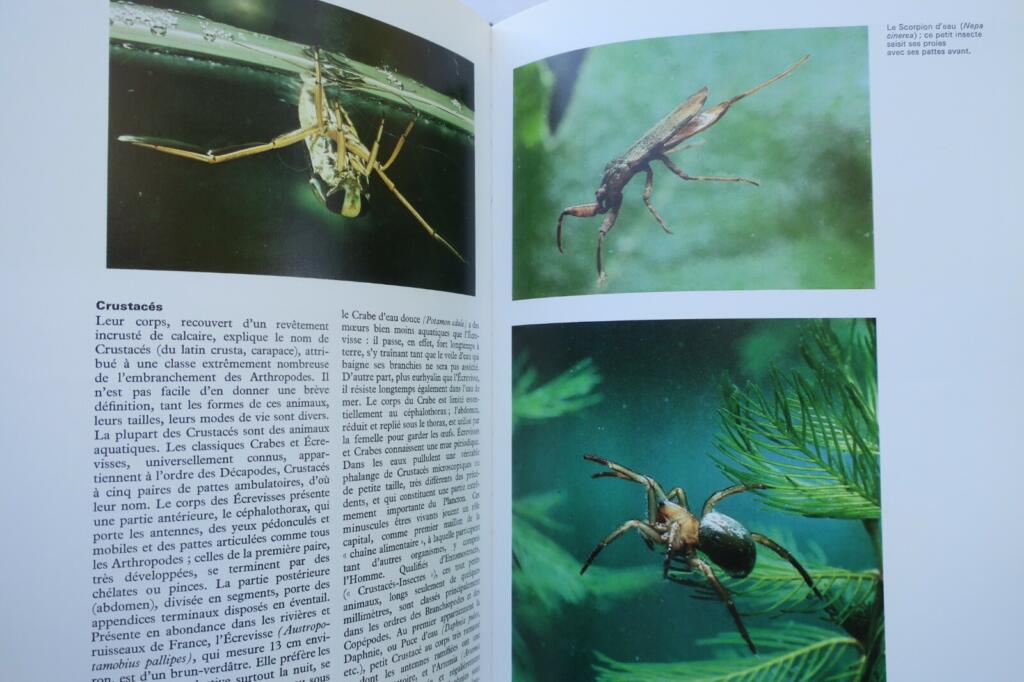 Guide to Aquarium Life