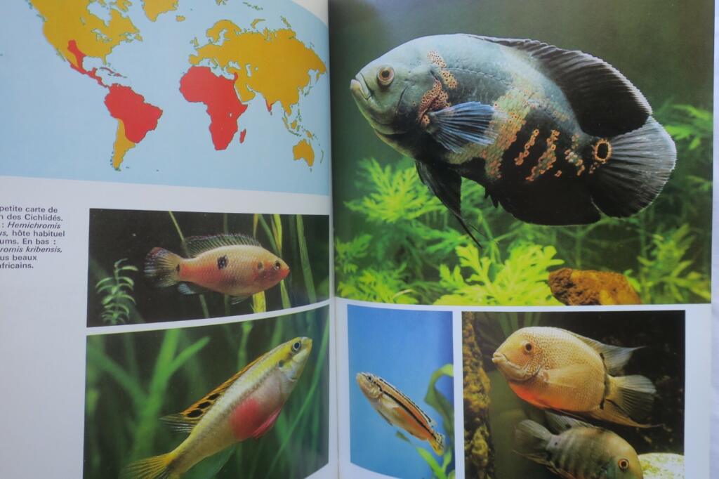 Guide to Aquarium Life