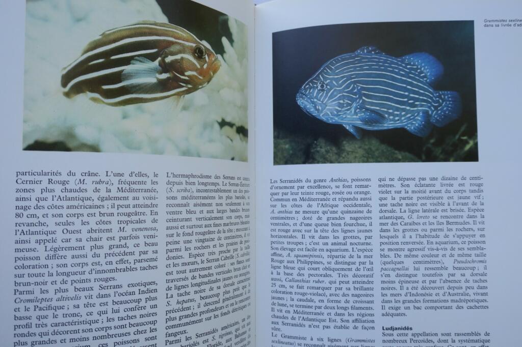 Guide to Aquarium Life