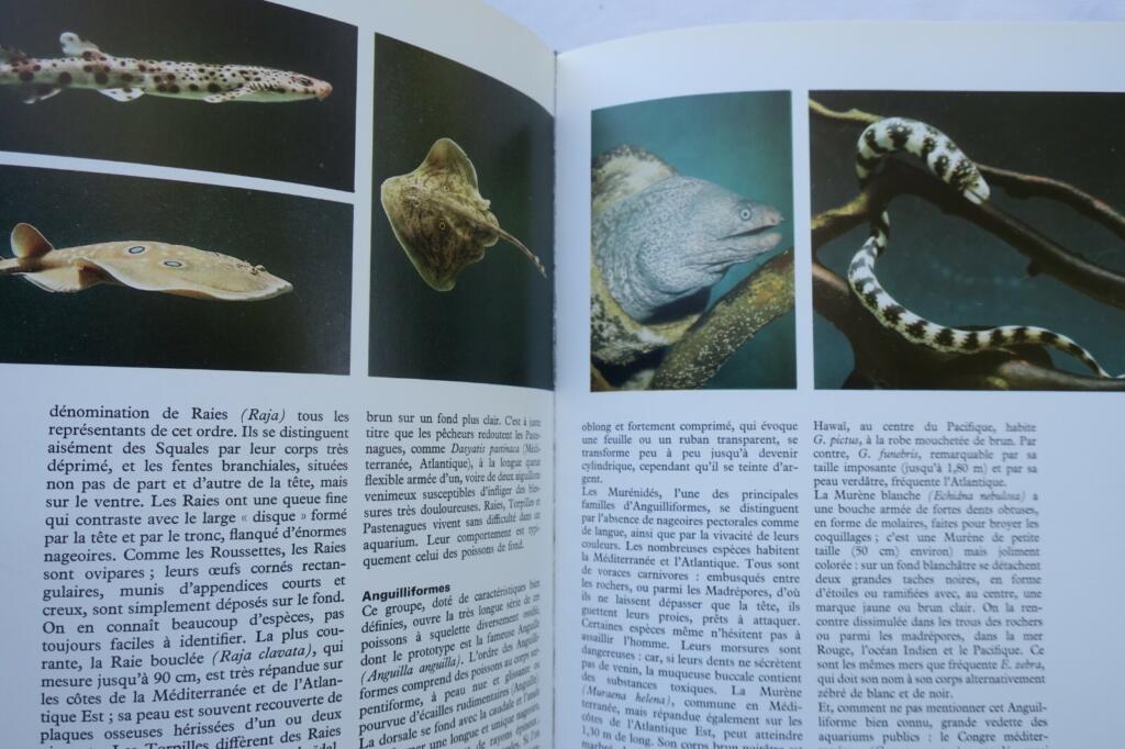 Guide to Aquarium Life