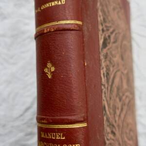 Oriental Archaeology from Origins to Alexander
