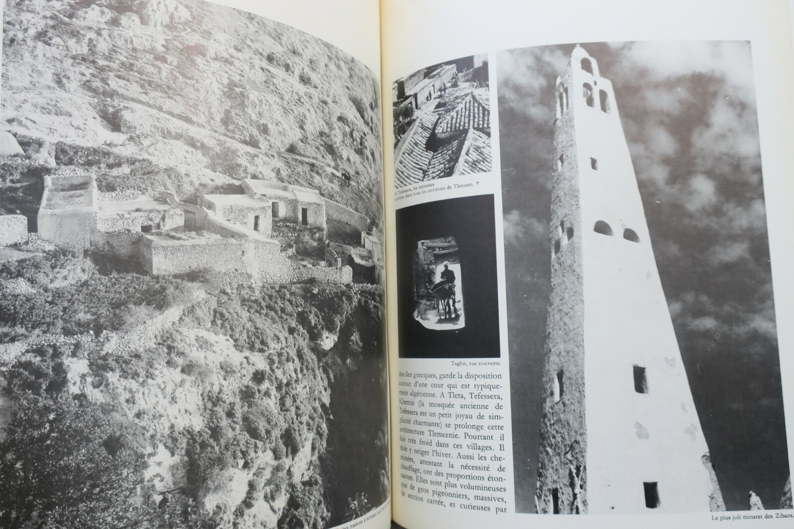 アルジェリア建築：1974年図版付研究<span class="lla-card-orig-wrap"><span class="lla-card-orig">❦ ARCHITECTURE ALGERIENNE</span></span> - La Librairie Antique