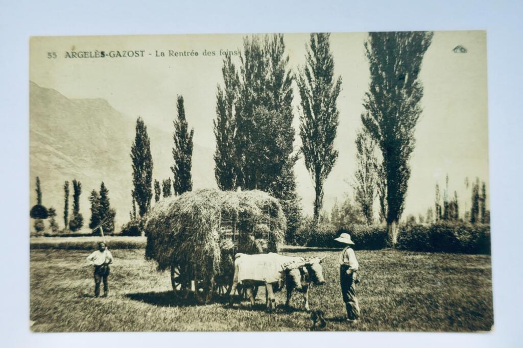 ARGELES-GAZOST – la rentrée des foins attelage