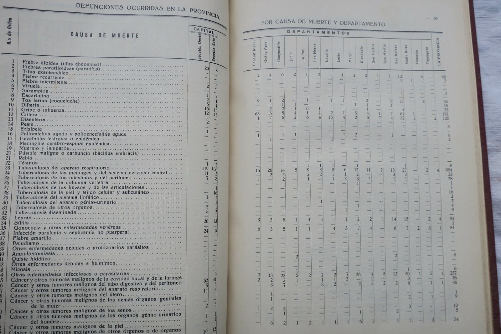 Jährliche statistische Übersicht von Mendoza - Image 5