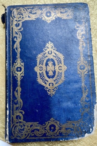 Reiseabenteuer in Südamerika<span class="lla-card-orig-wrap"><span class="lla-card-orig">❦ Argentine Mes Voyages Avec Le Docteur Philips Dans Les Republiques De La Plata</span></span> - La Librairie Antique