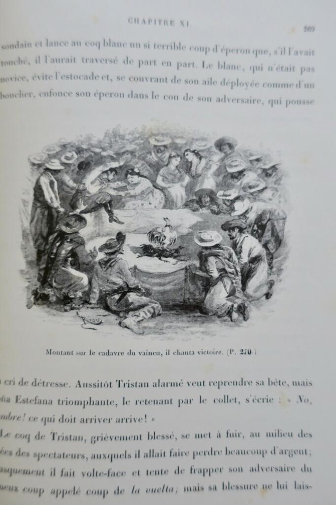Argentine Trois ans chez les Argentins illustré par Riou