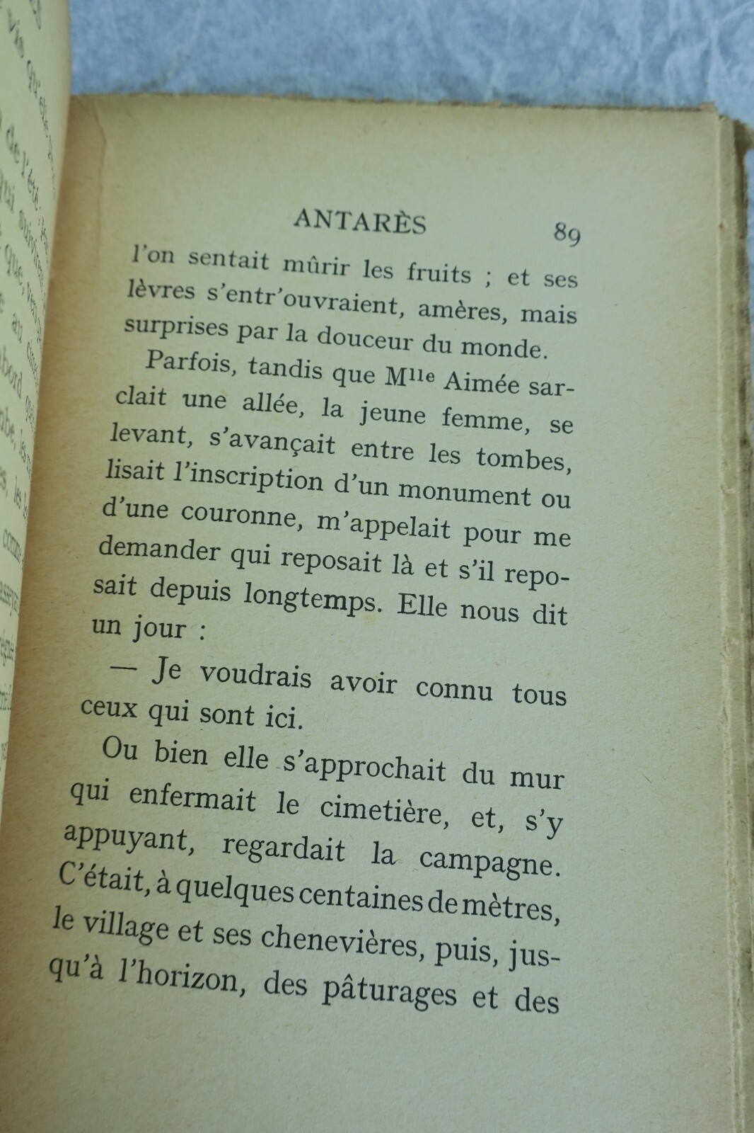 アルランの詩人グレグへの献呈本 アンタレス - Image 10
