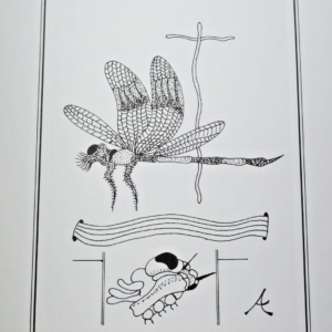 Arrabal Fernando, Camacho Jorge. Dreams of Insects