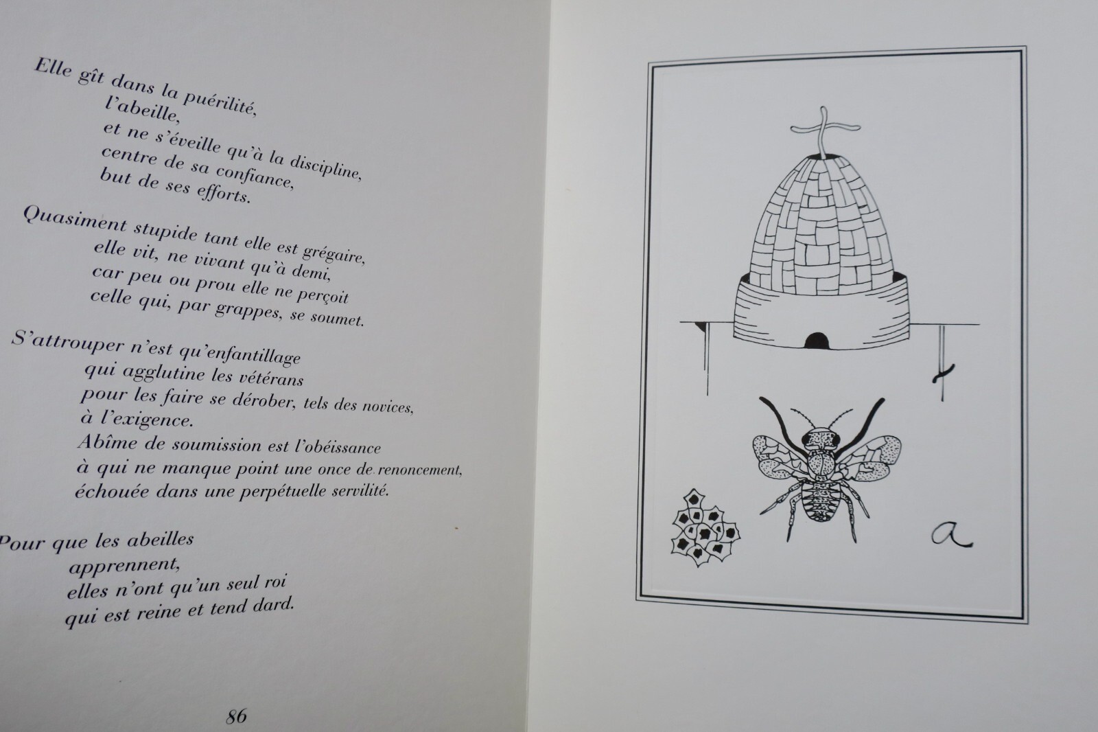 Träume von Insekten - Image 6