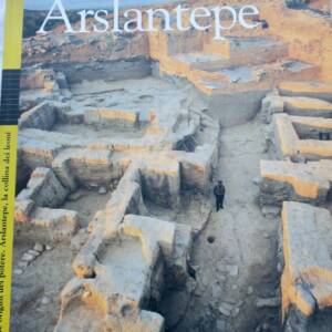 Die Ursprünge der Macht in Arslantepe