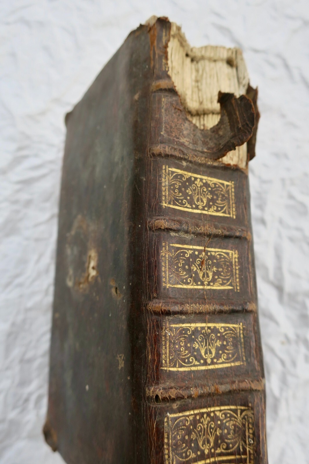 Surgical Reporting Practices in the 18th Century<span class="lla-card-orig-wrap"><span class="lla-card-orig">❦ Art de faire les raports en chirurgie où l’on enseigne la pratique..1730</span></span> - La Librairie Antique
