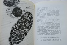 Illustrierte Geschichte des Asthmas von der Antike bis heute - Image 3