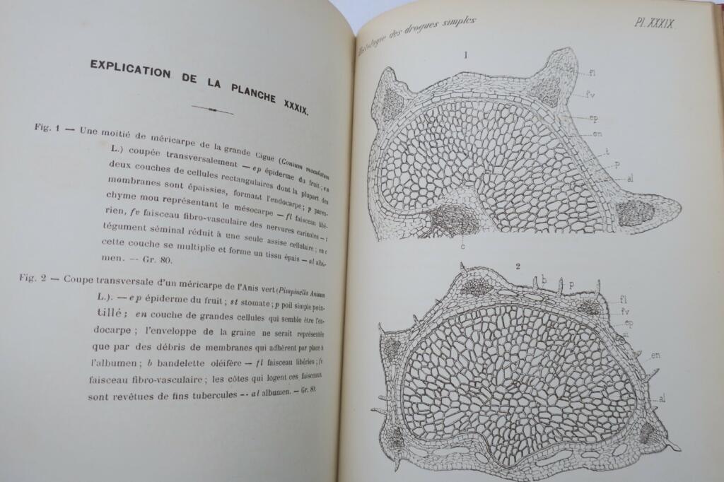 Histologischer Atlas einfacher Arzneistoffe