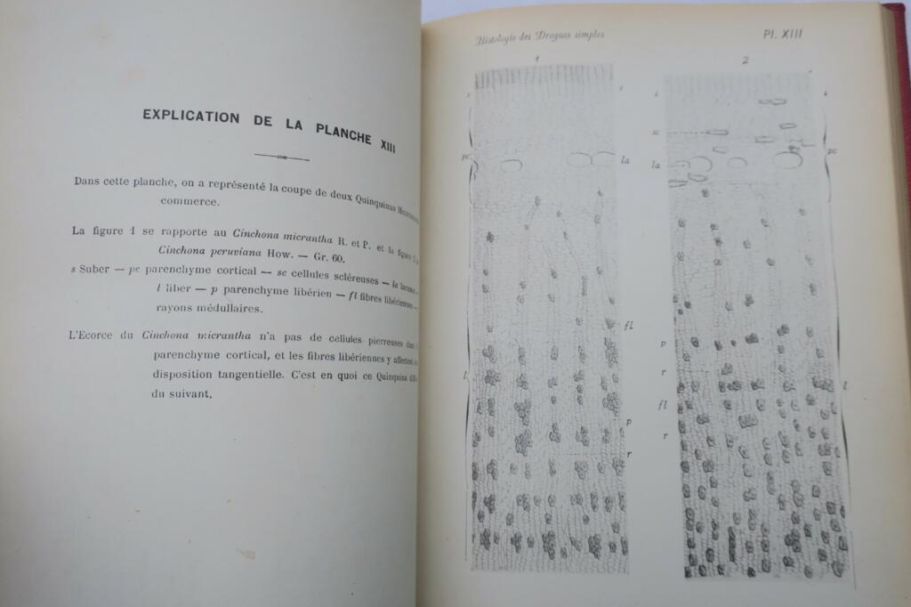 Histologischer Atlas einfacher Arzneistoffe