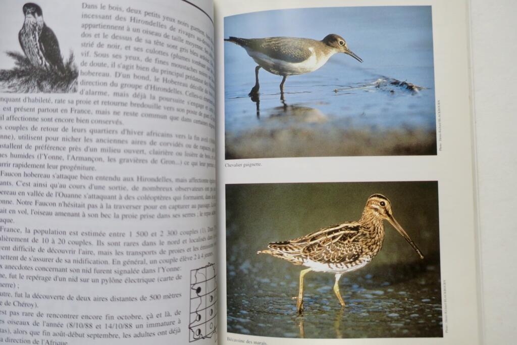 Atlas Of Breeding Birds Of Yonne (1979-1992).