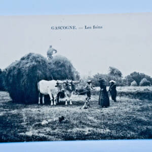 Anhängekupplung Gascogne Les Foins