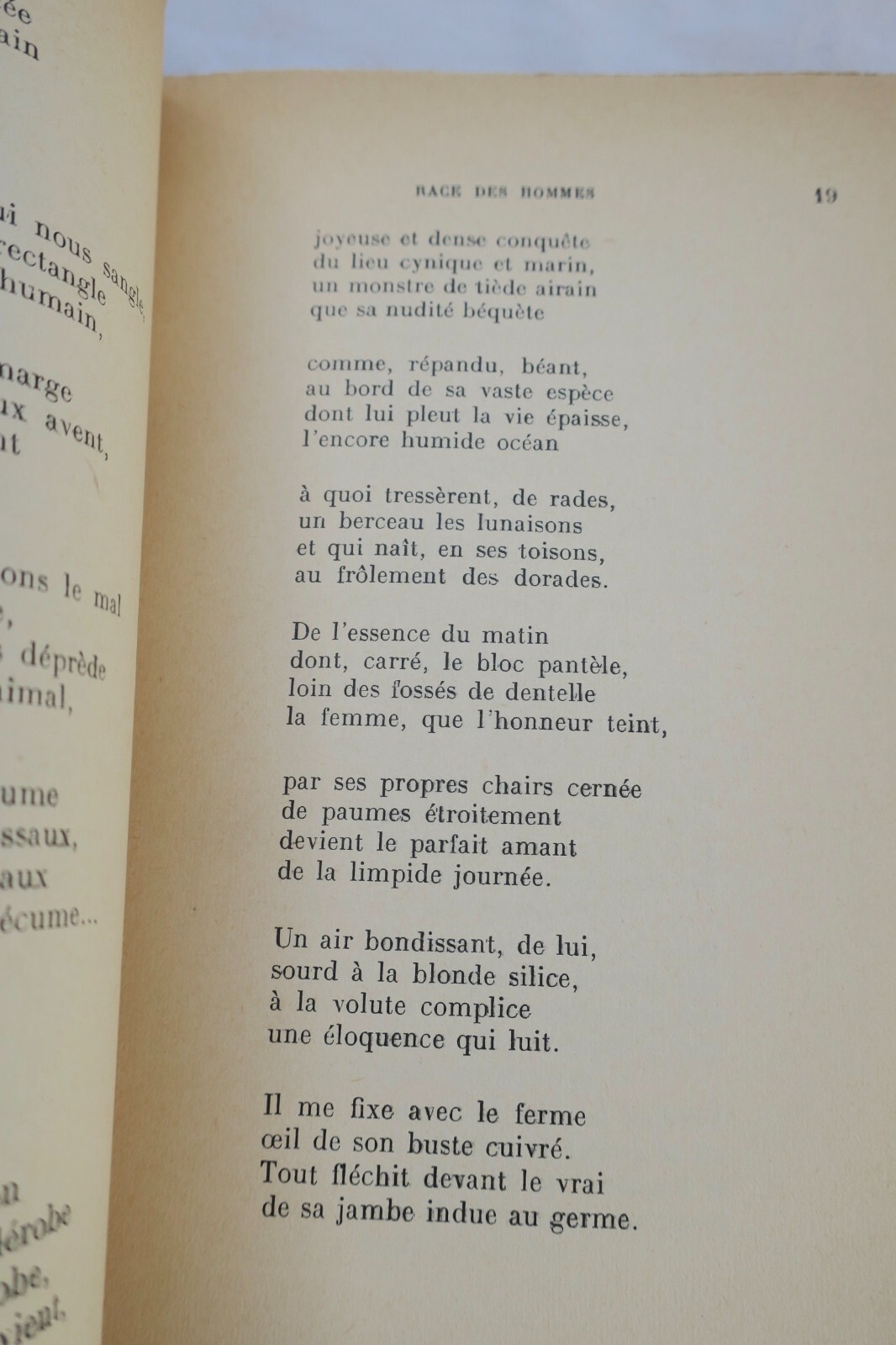 Essays on human races - Image 7