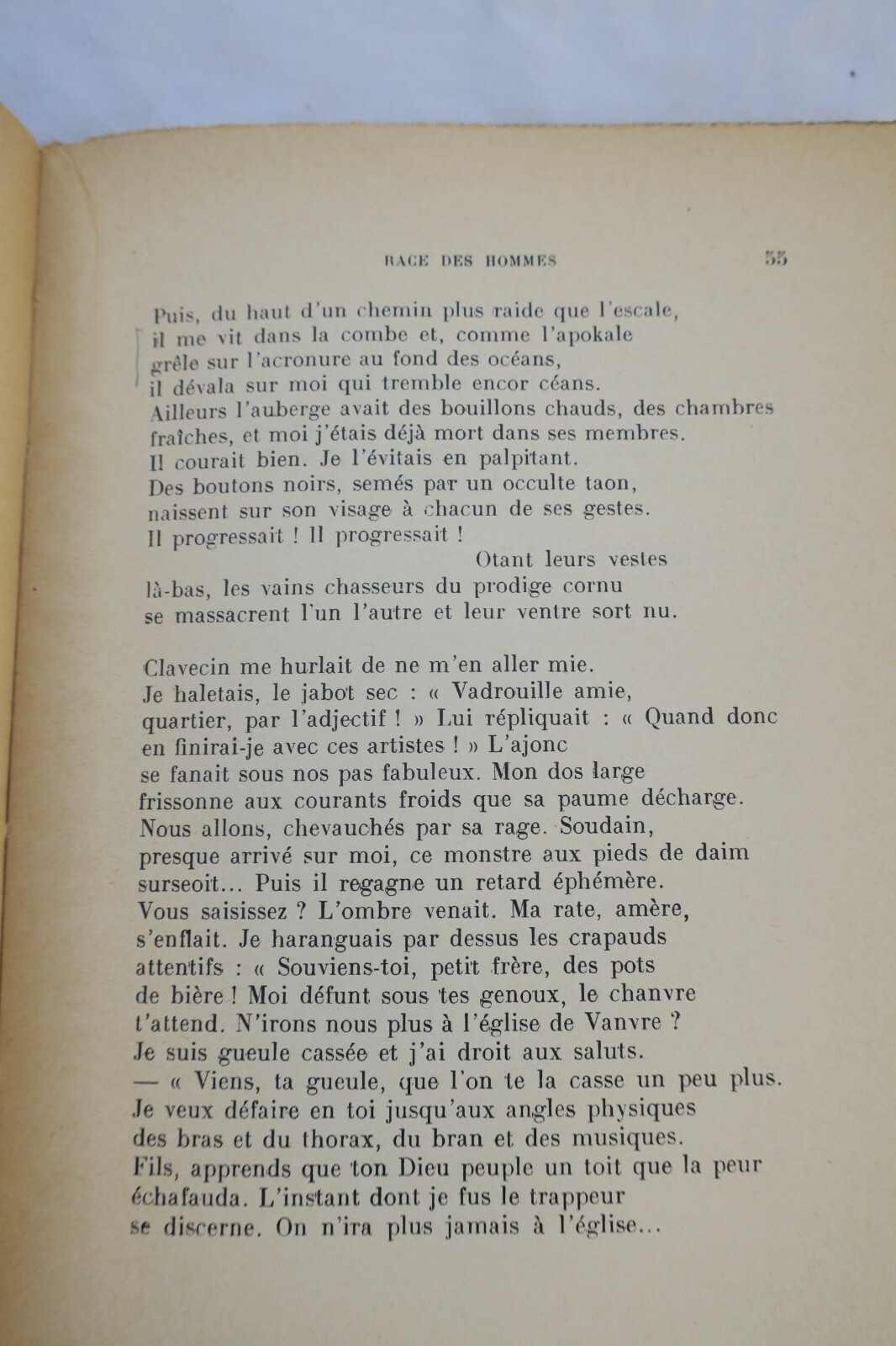 Essays on human races - Image 5