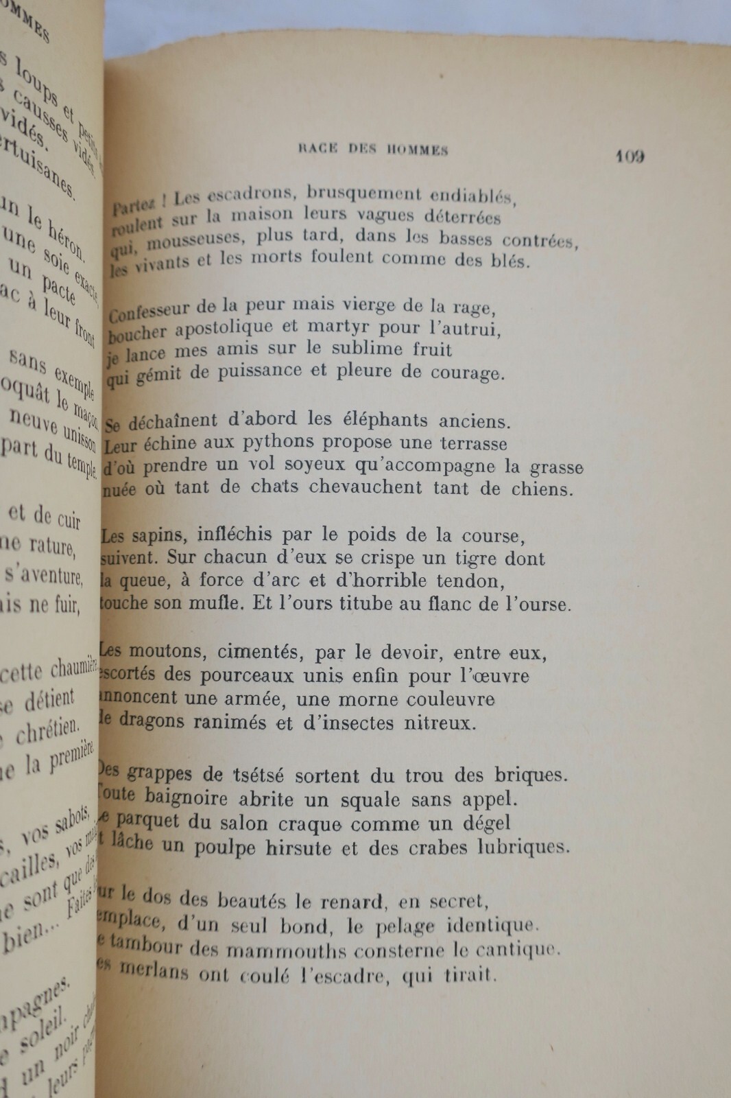 Essays on human races - Image 3