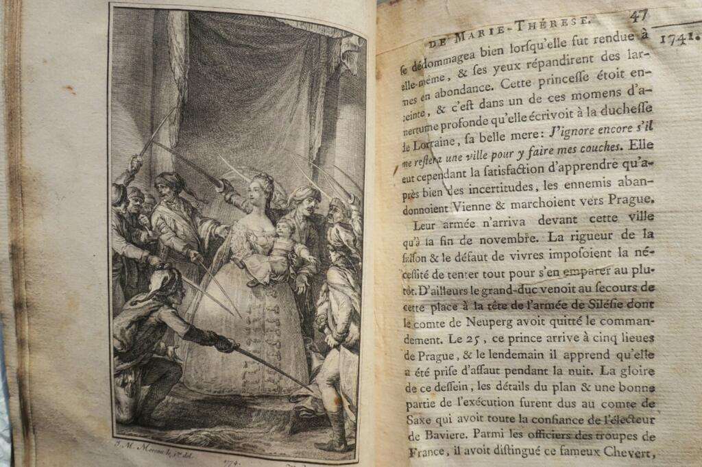 Chronik der Herrschaft von Maria Theresia