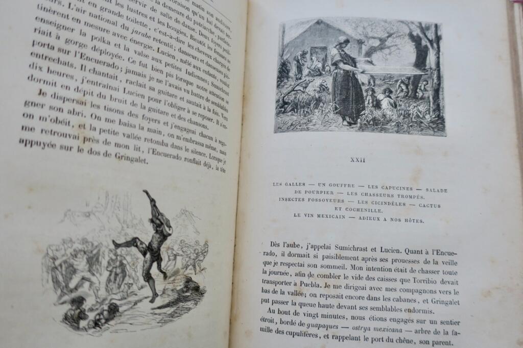 Young Naturalist's Adventures