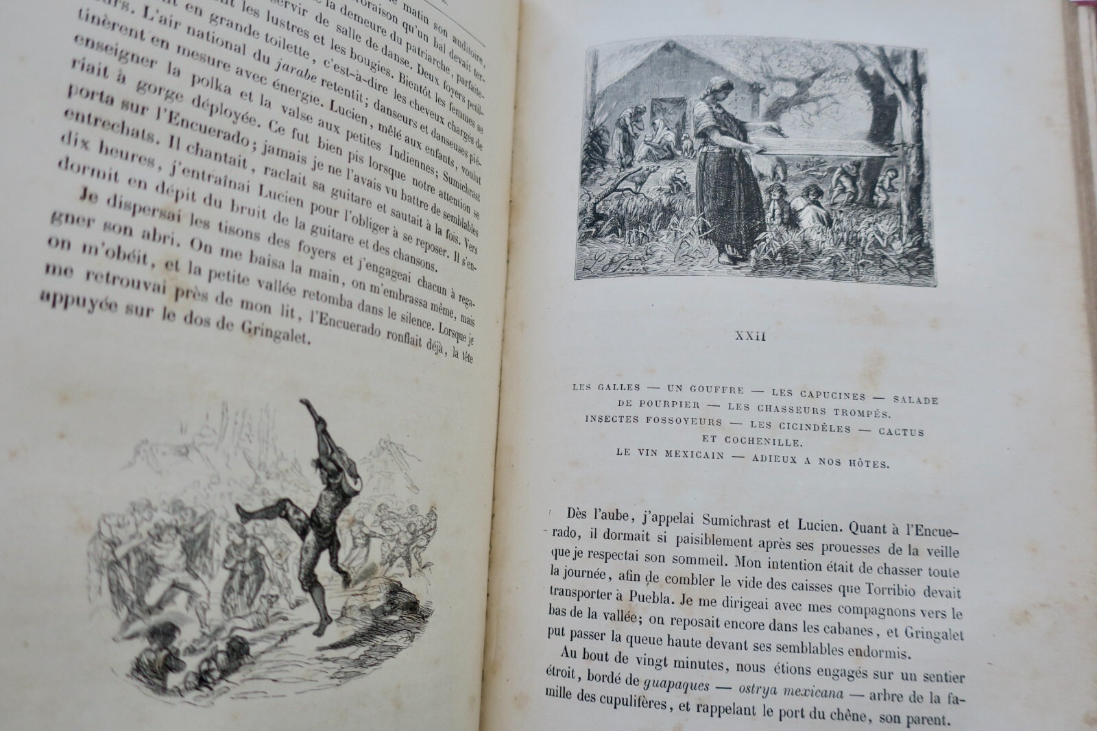 若き自然主義者の冒険<span class="lla-card-orig-wrap"><span class="lla-card-orig">❦ Aventures d’un jeune naturaliste HETZEL</span></span> - La Librairie Antique