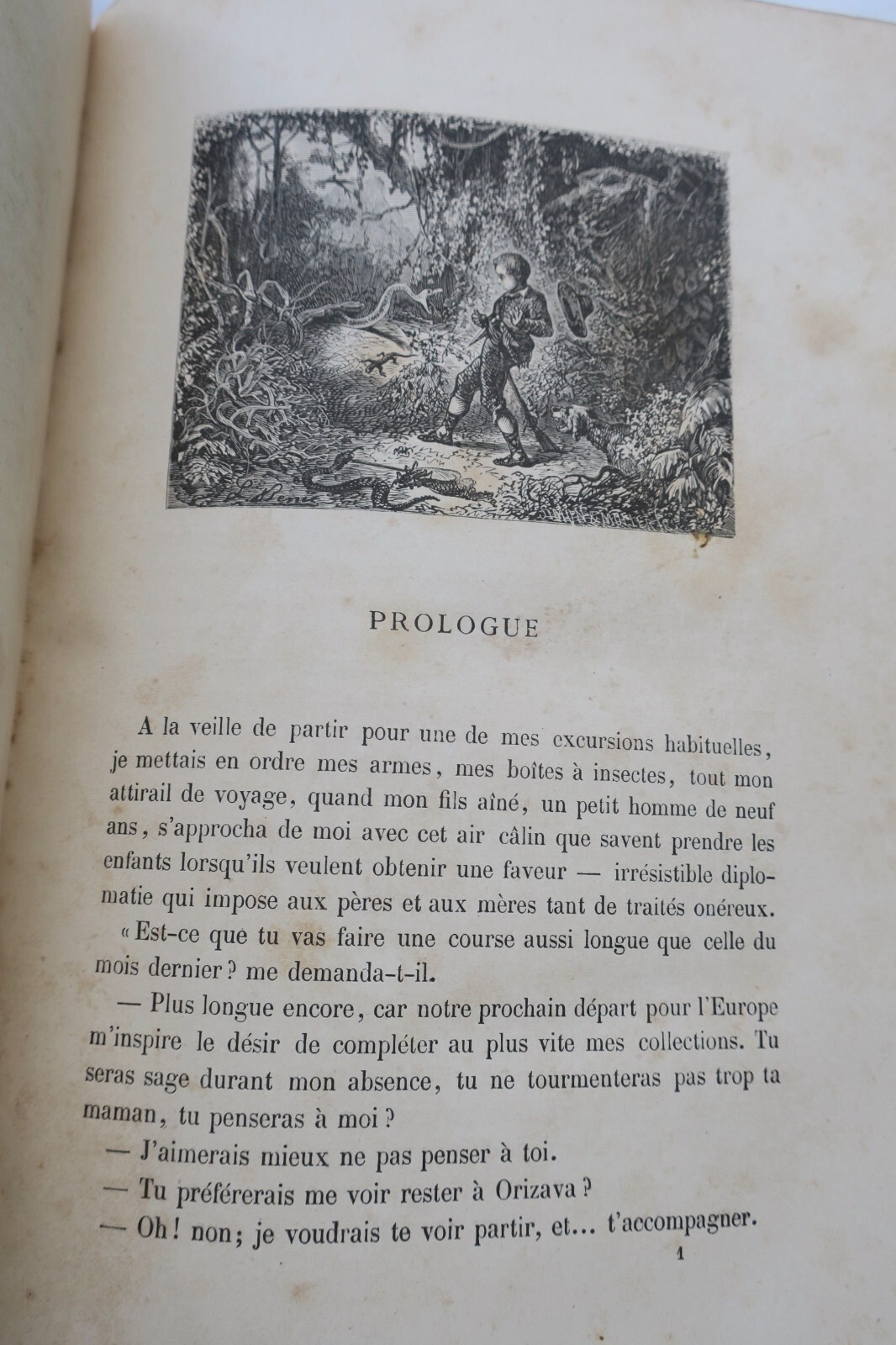 Adventures of a budding naturalist - Image 9