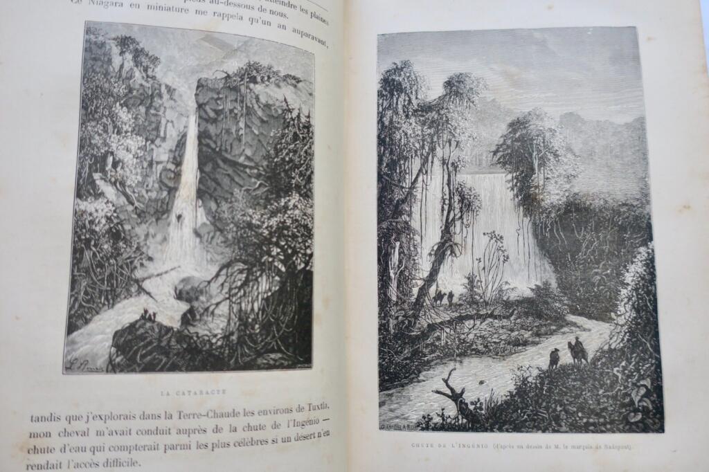 Young Naturalist's Adventures