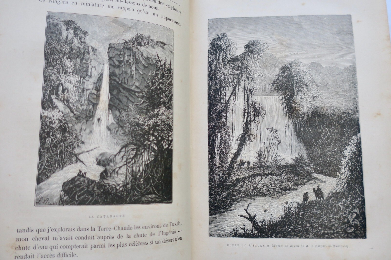 Adventures of a budding naturalist - Image 4