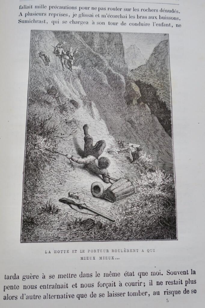 Young Naturalist's Adventures