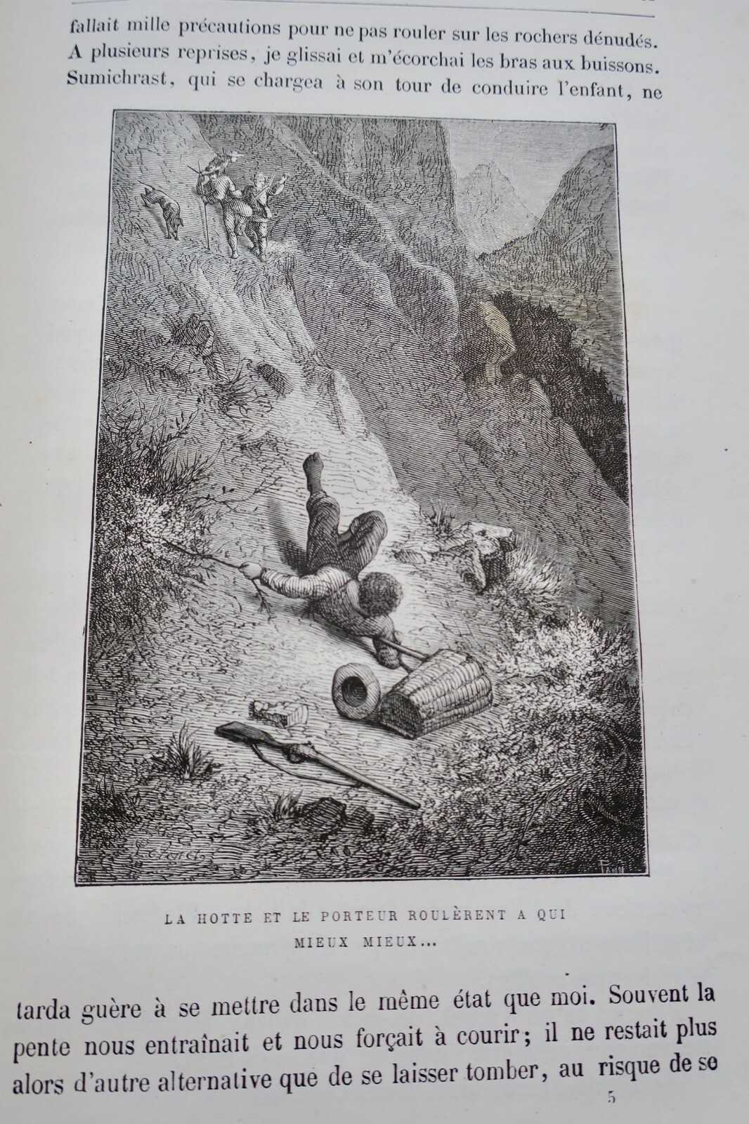 Adventures of a budding naturalist - Image 6