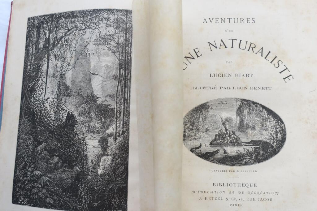 Adventures of a budding naturalist