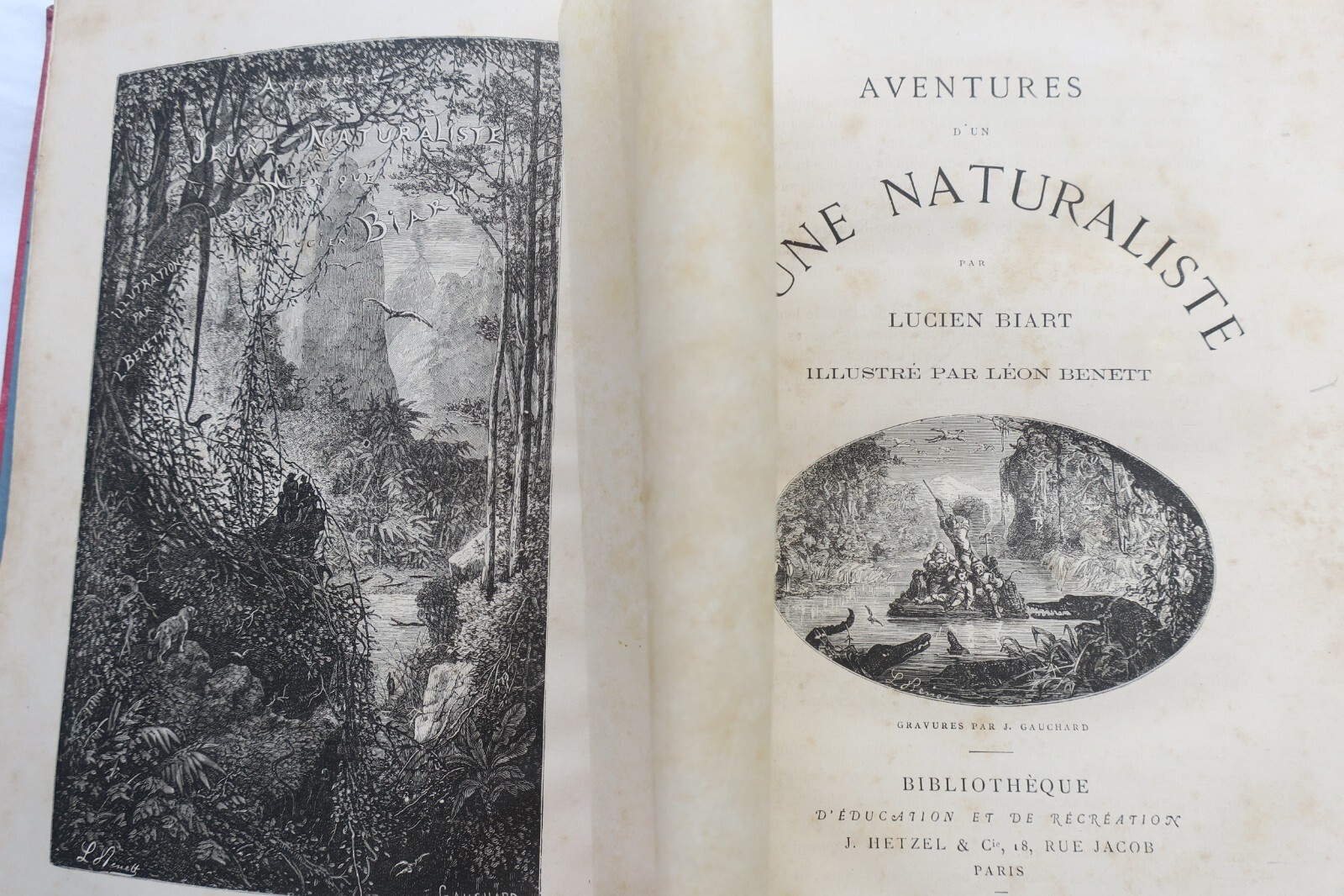 Adventures of a budding naturalist - Image 10