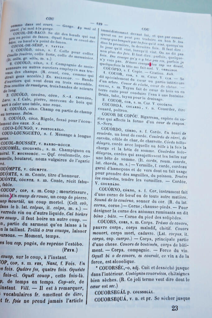 Wörterbuch des Aveyron-Dialekts