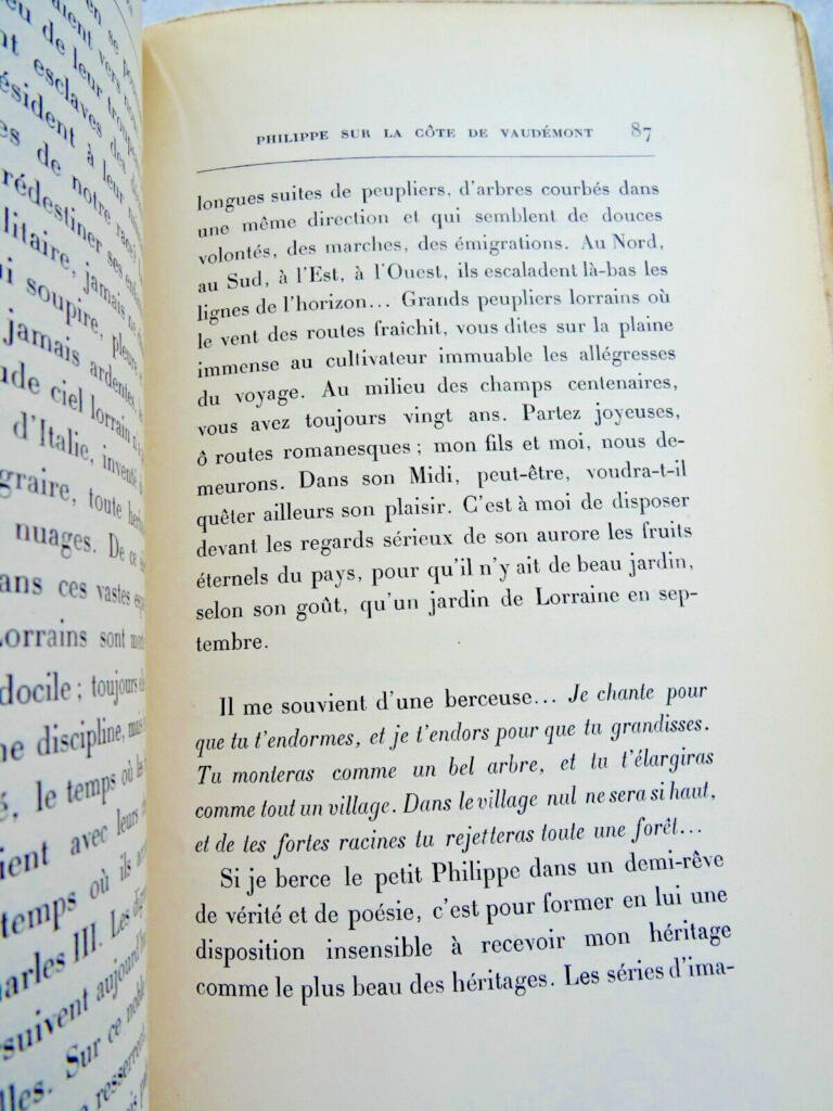 フランスの友情についての考察