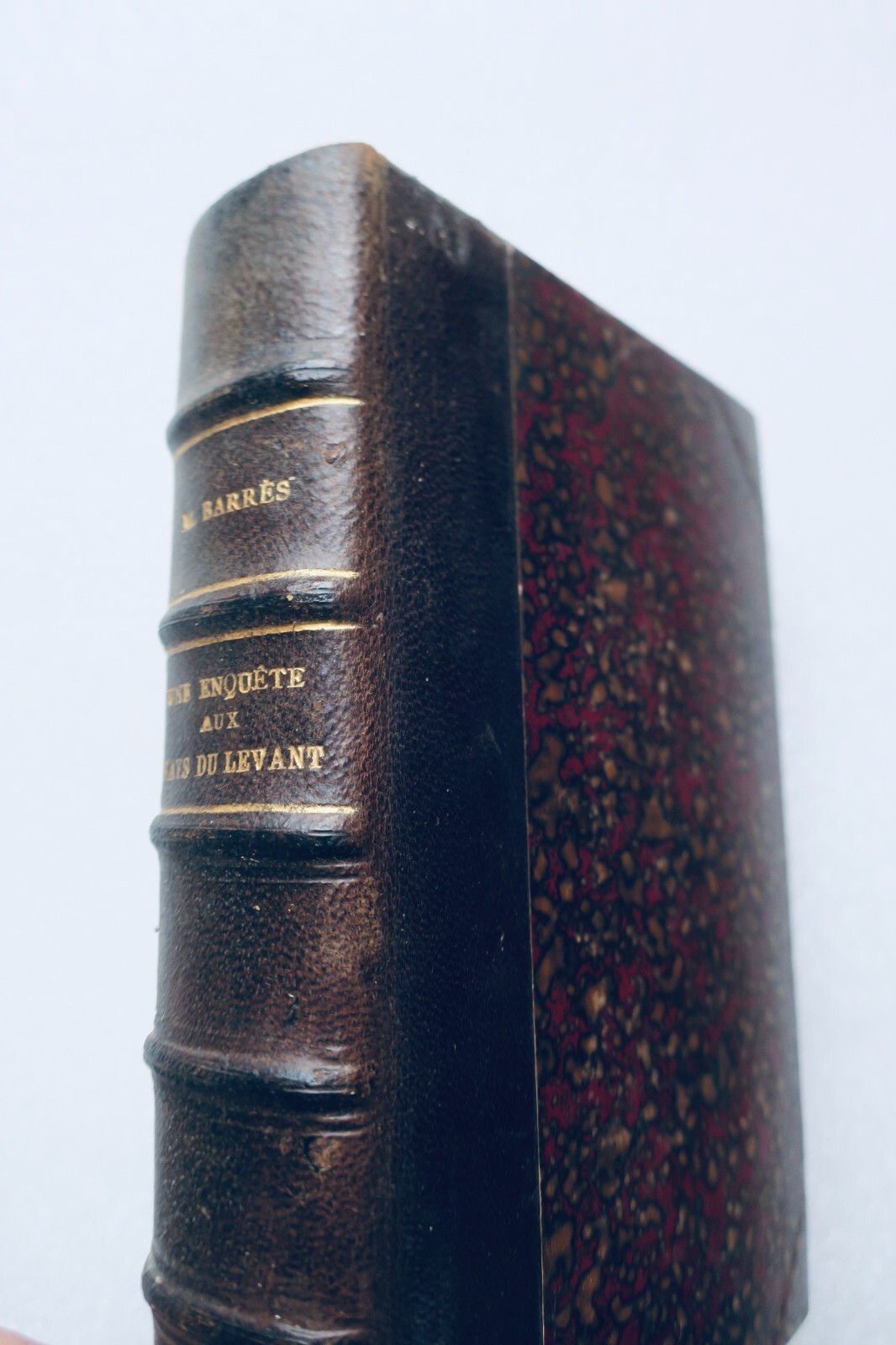 Investigation in the Levant<span class="lla-card-orig-wrap"><span class="lla-card-orig">❦ BARRES MAURICE UNE ENQUETE AUX PAYS DU LEVANT</span></span> - La Librairie Antique