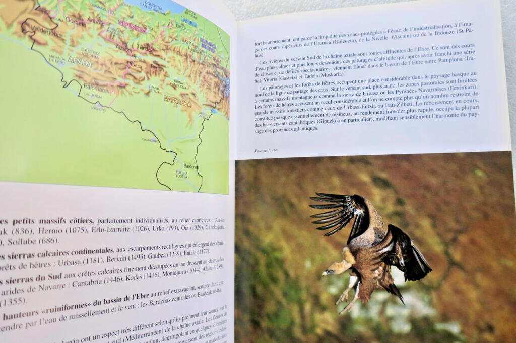 Die Erkundung der baskischen Berge