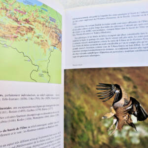 basque La montagne basque / 400 itinéraires à travers les sept provinces