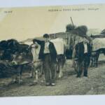 BASQUE scènes et types basques attelages