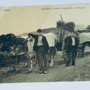 BASQUE scènes et types basques attelages